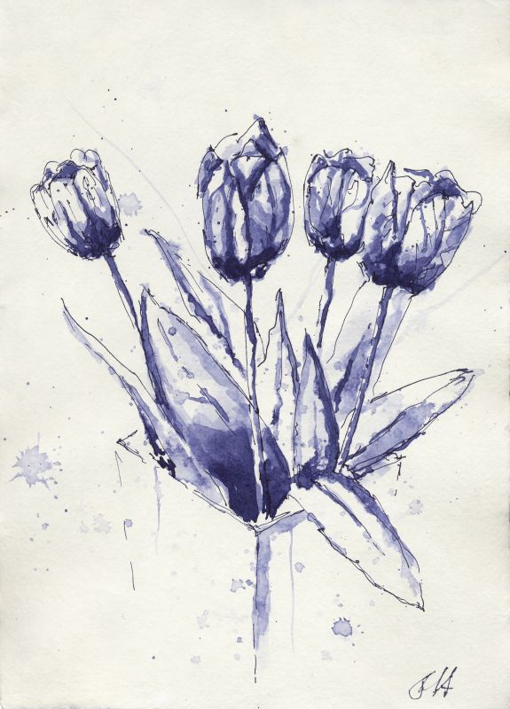 Tulpenvase (c) Zeichnung von Frank Hess